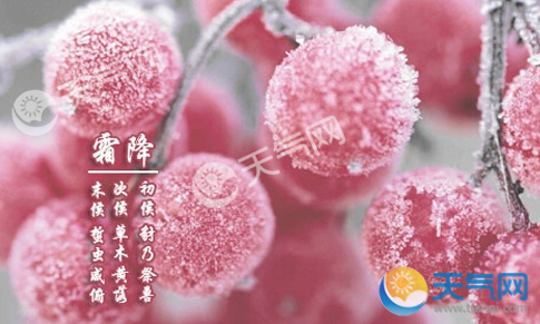 霜降是几月几日_霜降是哪月哪日_霜降是几月几日到几月几日