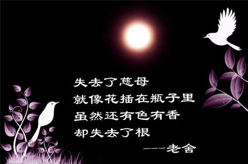 曾子衣敝衣以耕的衣_零衣_衣字旁
