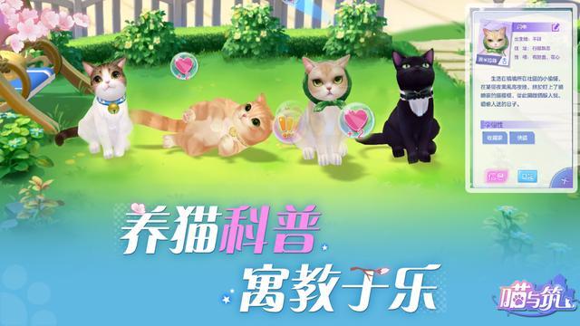 情侣猫养手机游戏叫什么_一对情侣养猫的游戏_情侣养猫手机游戏