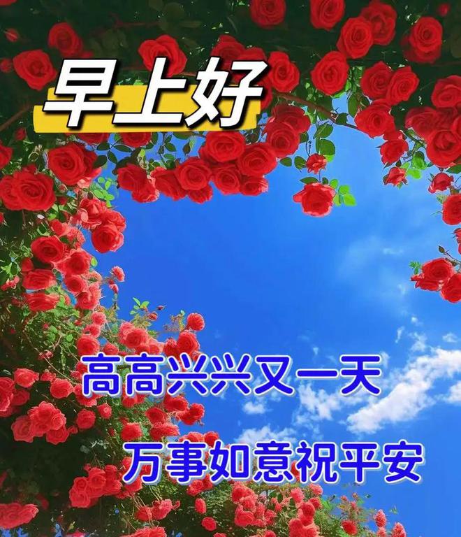 赵灵儿_赵一诺赵一谦赵一帆_田灵儿