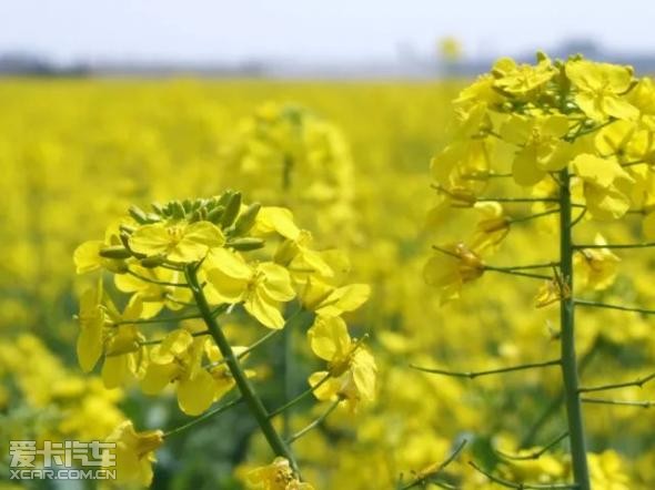 汕头手机游戏培训机构_汕头游戏手机_汕头游戏公司有多少家