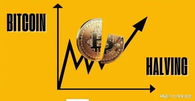 美元今日实时行情_btc今日行情美元_btc价格今日行情美元