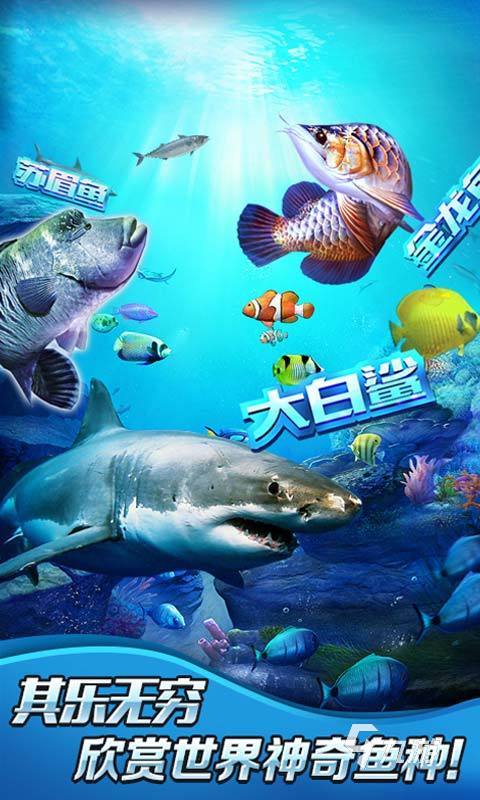 高画质手机游戏游戏_手机画质极高游戏_画质高的手机游戏