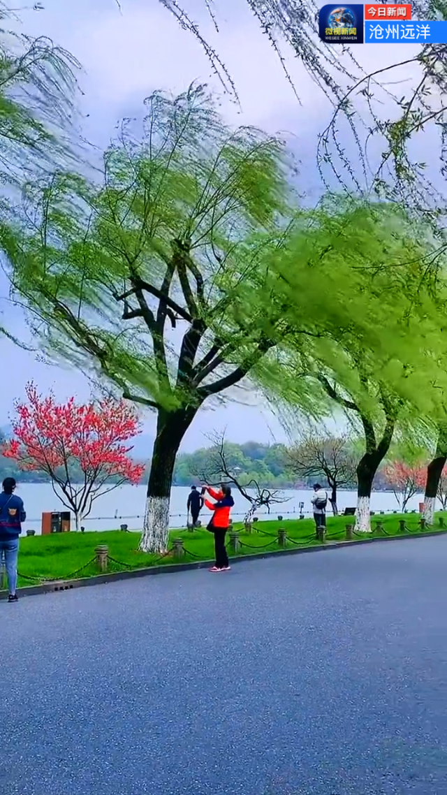 忽然闯进我生活_突然闯进我的生活又突然离开_若不是你突然闯进我生活