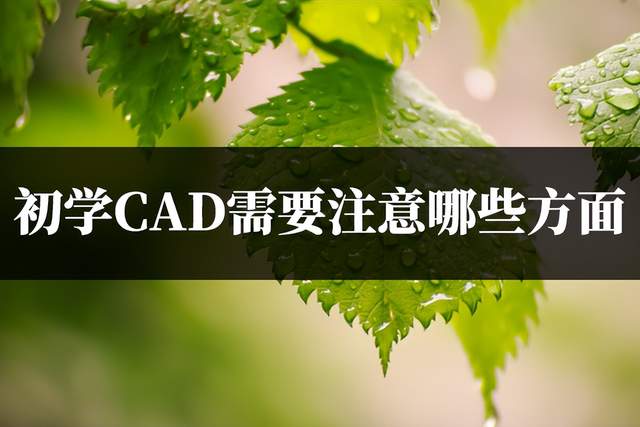 cad怎么缩小图片_cad怎么缩小_cad画面不能缩小