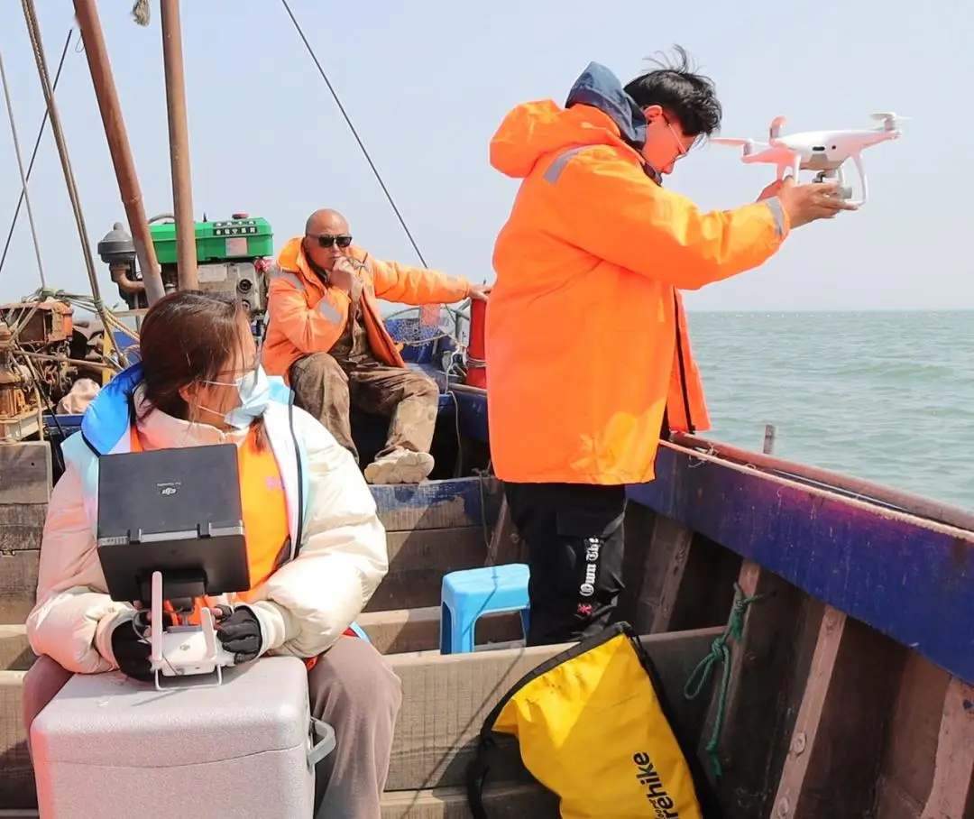 海豹国际安保公司_海豹国际教育咨询_国际海豹日