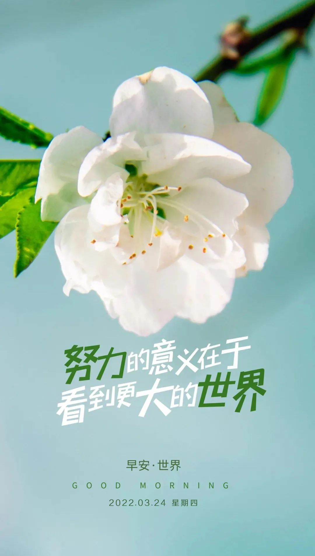 麻将游戏手机游戏_手机麻将游戏软文_麻将软文手机游戏大全