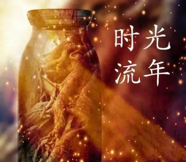 五粮液十年2005_年2005几岁今_2005年