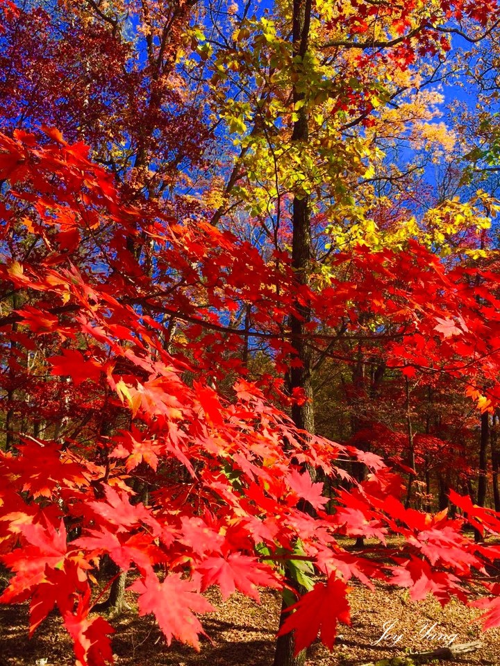 外国生产日期怎么看日月年_2012年10月20日_那年有润月年