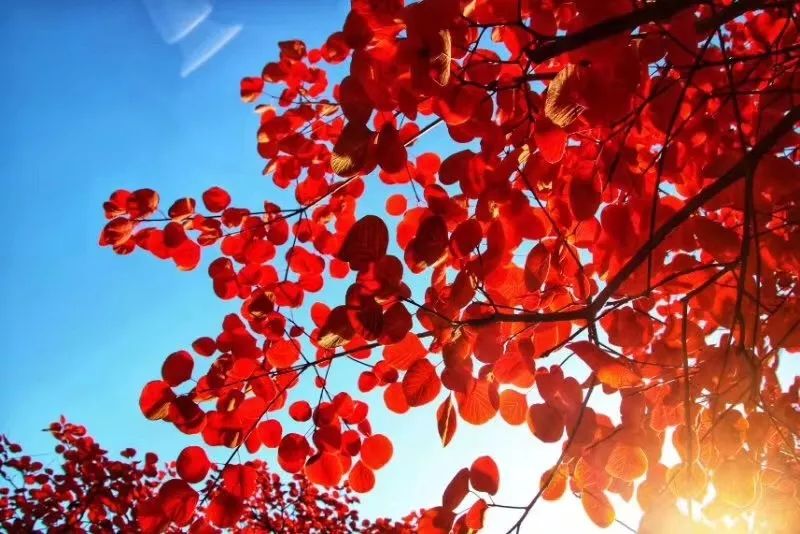 外国生产日期怎么看日月年_2012年10月20日_那年有润月年