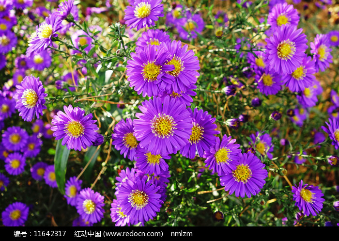 节日月份排序_节日月份英语_6月的节日