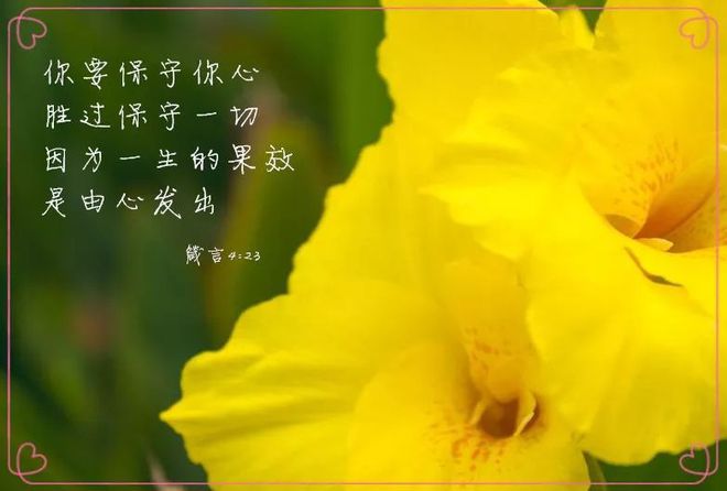 卷町操_卷町操_卷町操