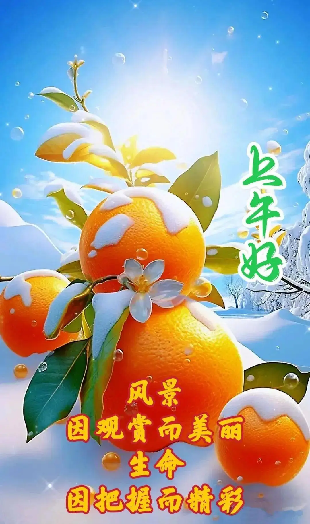 寒冬腊月的成语_寒冬腊月成语PPT_寒冬腊月成语接龙