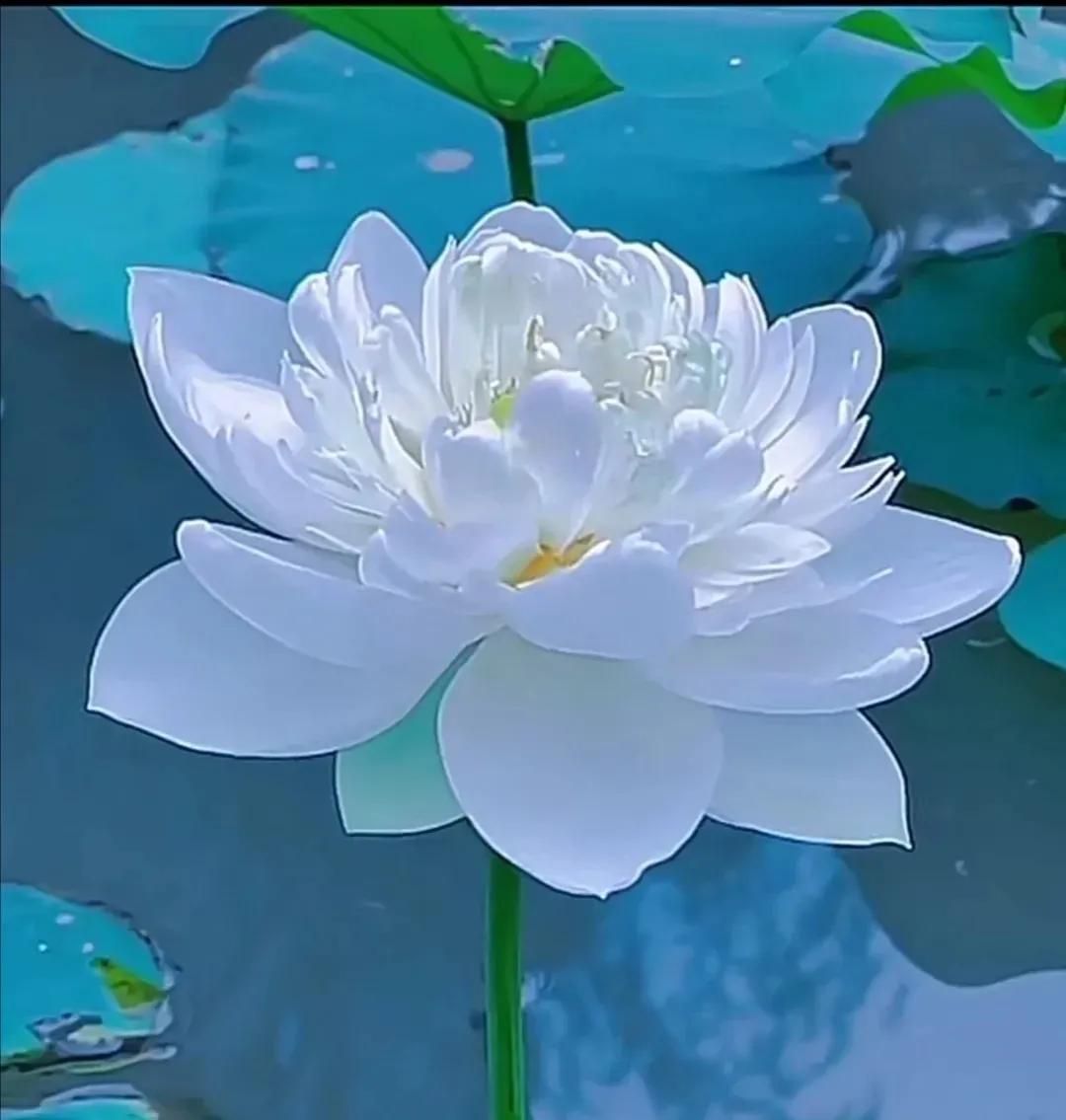 盒子手机游戏里没有声音_手机里还有几个游戏盒子_游戏里面盒子