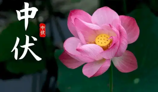 三伏天哪一伏最热_三伏天是热天吗_三伏天初伏热还是中伏热