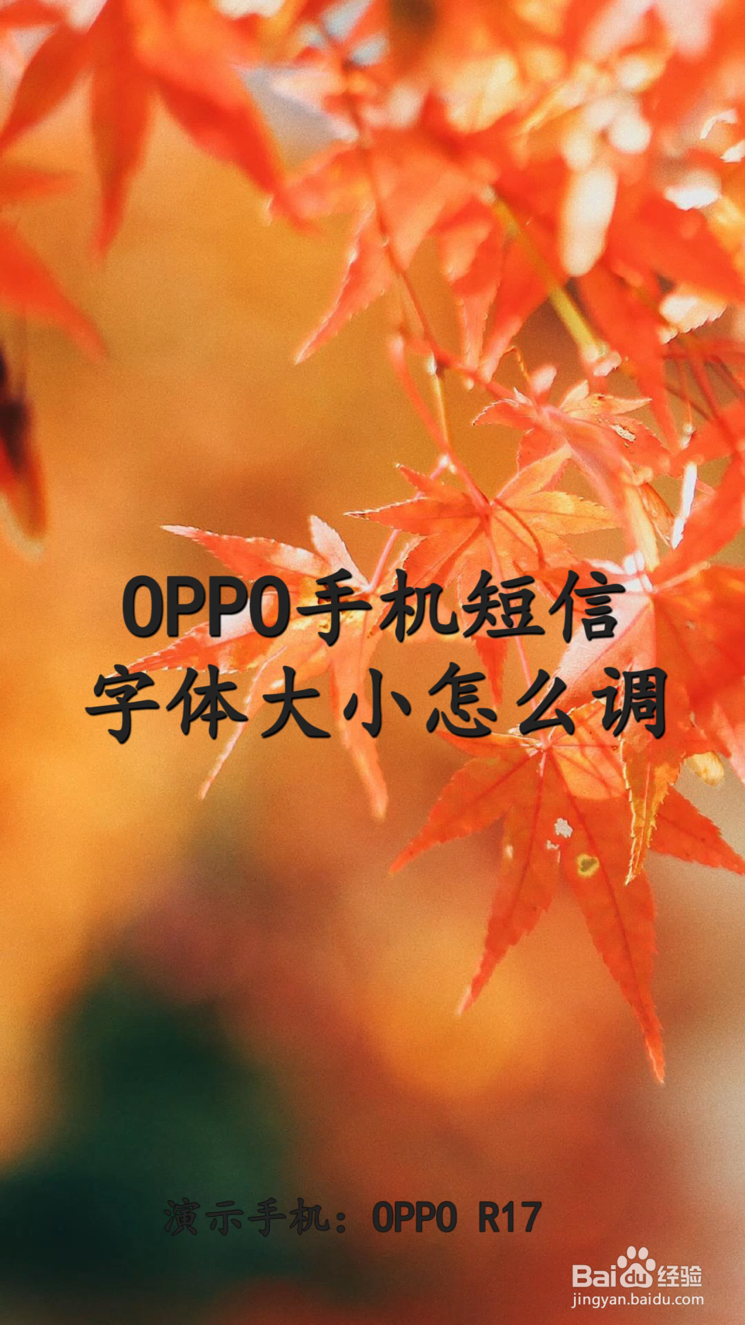 放大字体的手机软件_字体放大手机游戏软件_如何放大手机游戏字体