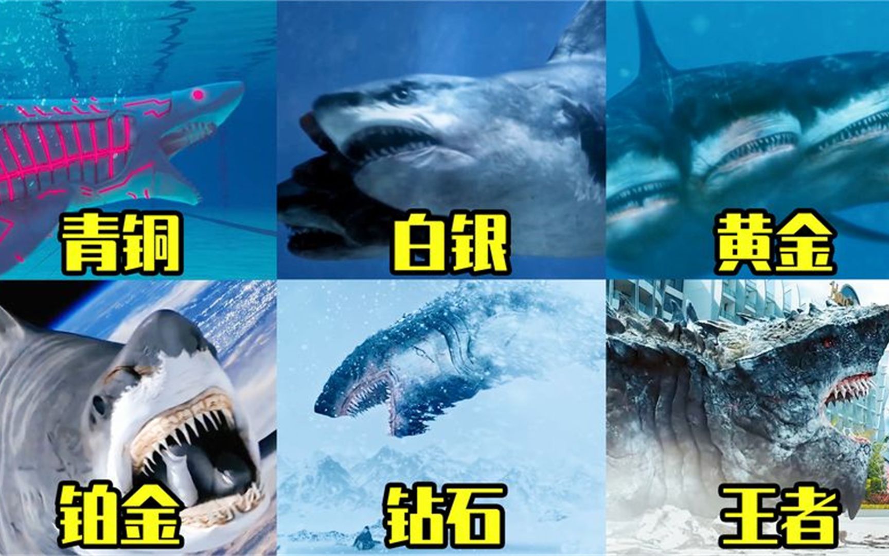 韩剧王者影评_电影豆瓣王者高清观看在线韩国_王者韩国电影豆瓣在线观看高清