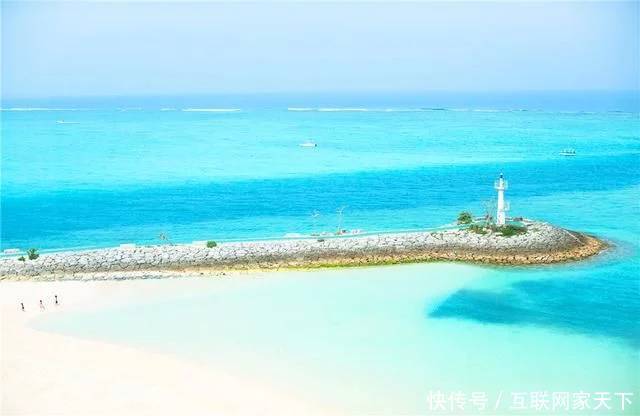 震荡波_震荡波和声波哪个厉害_震荡波变形金刚
