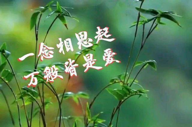 月亮纸条是什么意思_纸月亮_月亮纸条西班牙