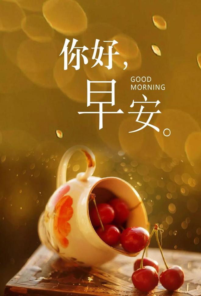 黄任行_任e行f9使用说明书_任e行
