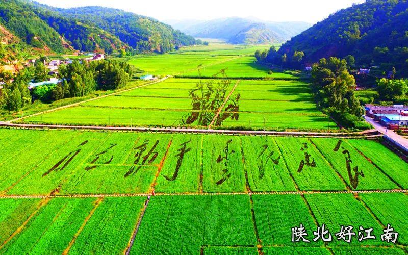 建党时候有多少人_建党时候多少人_什么时候建党