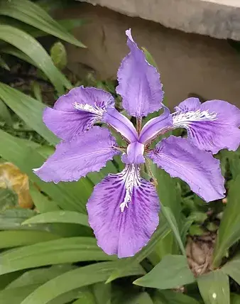 苹果手机最温暖的游戏推荐_温暖的小游戏_温暖的苹果