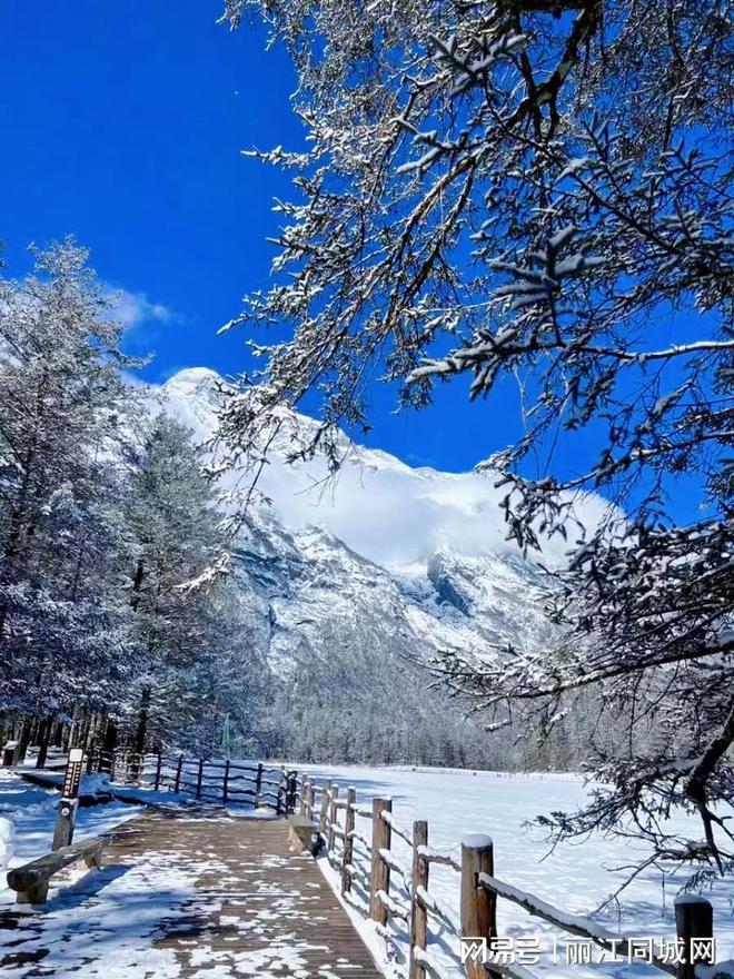 手机版雪山游戏：逼真雪景与刺激玩法，让你体验心灵慰藉与成就感