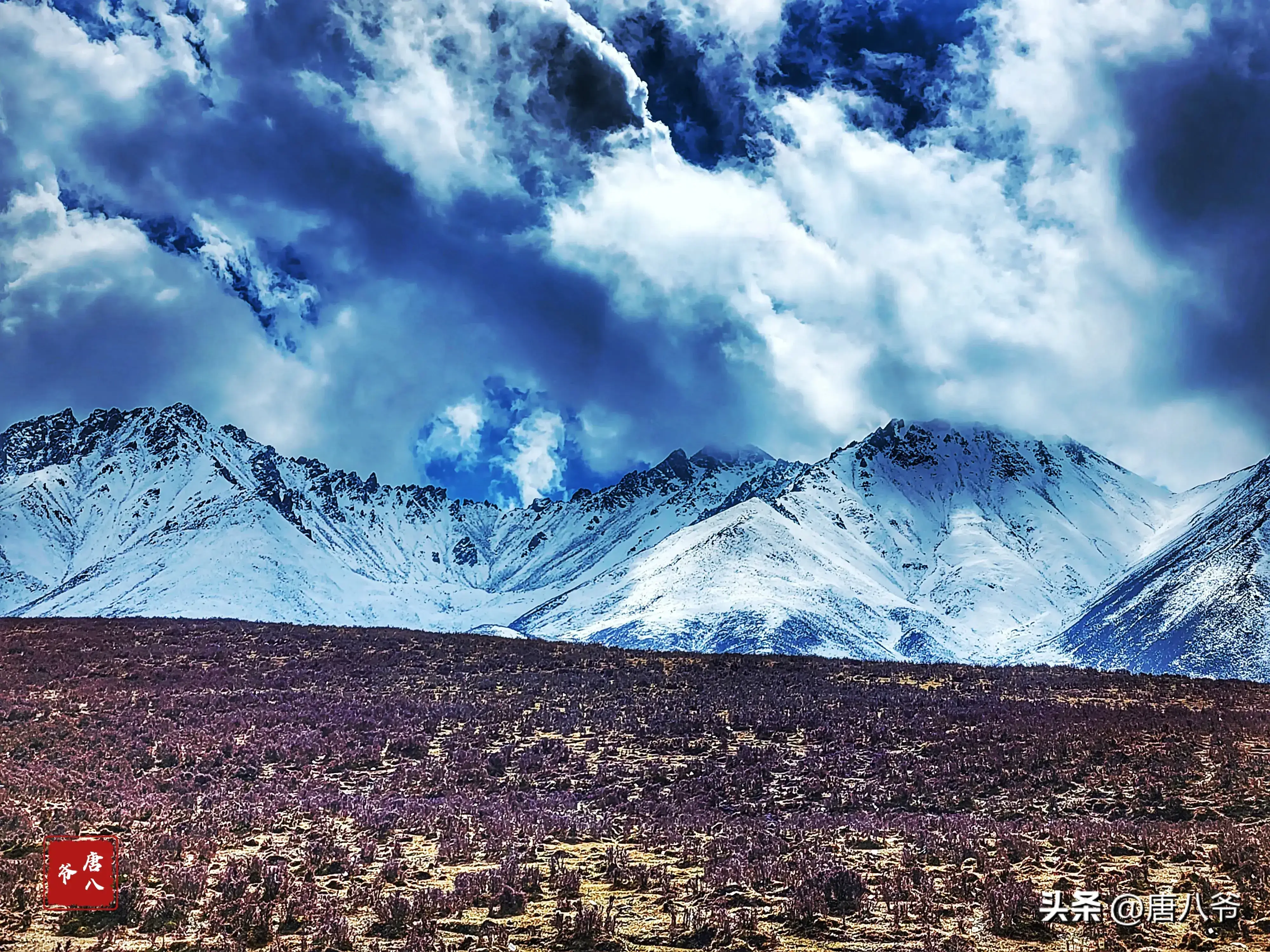雪山版手机游戏怎么玩_雪山小游戏_手机版雪山游戏