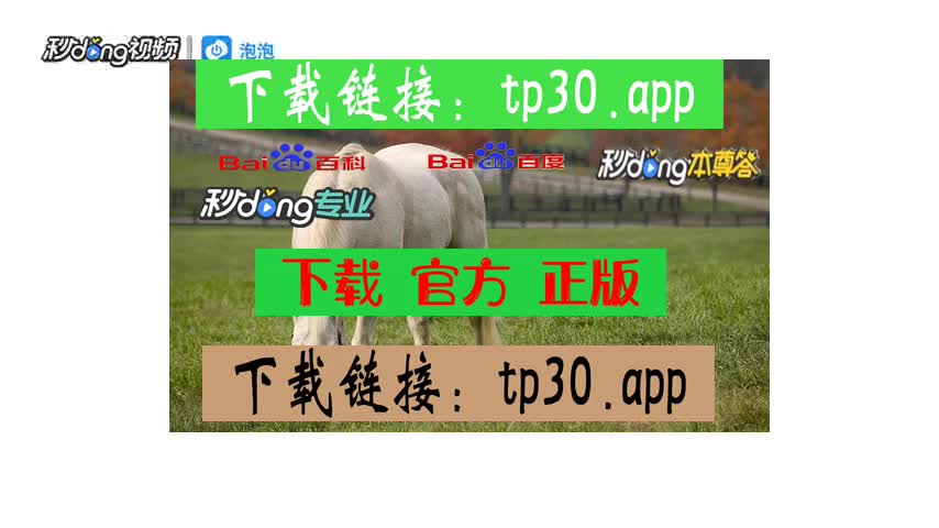 钱包助记词对照表_tp钱包助记词在哪_钱包助记词所有钱包通用吗