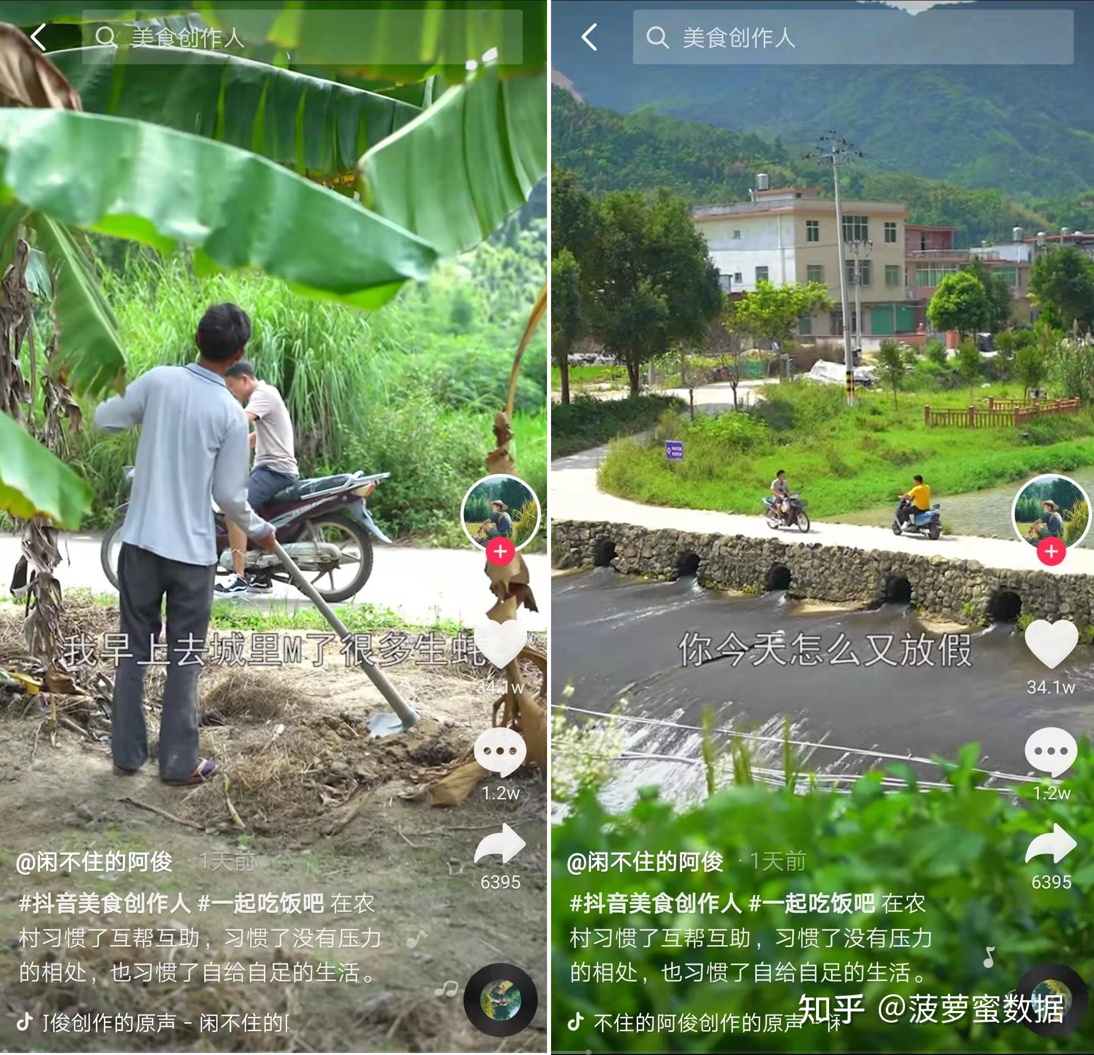 探索佐治亚：情感寄托、文化交汇与历史沉淀之地
