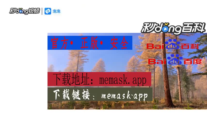 小狐狸钱包安装失败怎么回事-小狐狸钱包安装失败原因大揭秘，众多用户遭遇相同困境