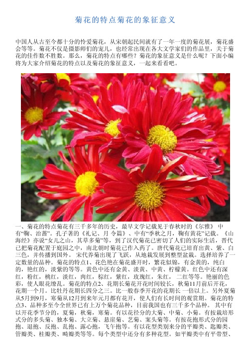 菊花花cv个人资料_菊花花cv是哪个工作室的_菊花花cv