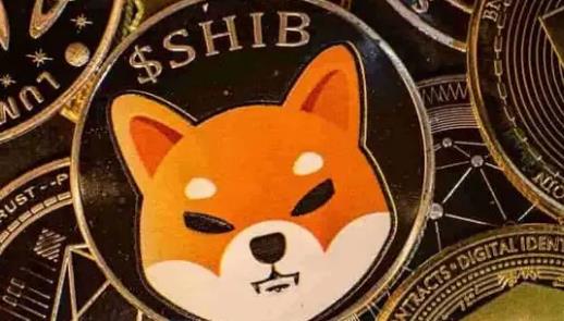 屎币今日价格走势图_屎币行情最新价格行情_屎币最新价格今日行情