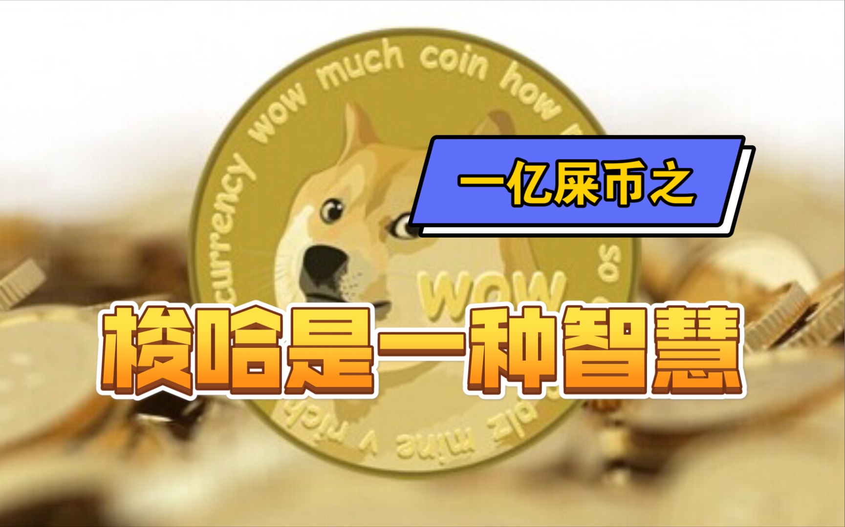 屎币今日价格走势图_屎币行情最新价格行情_屎币最新价格今日行情