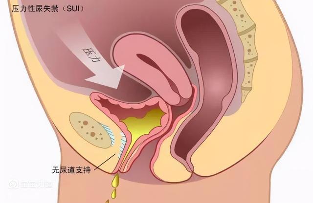 狐狸钱包转ronin钱包_小狐狸钱包转不了账_狐狸钱包转错钱包