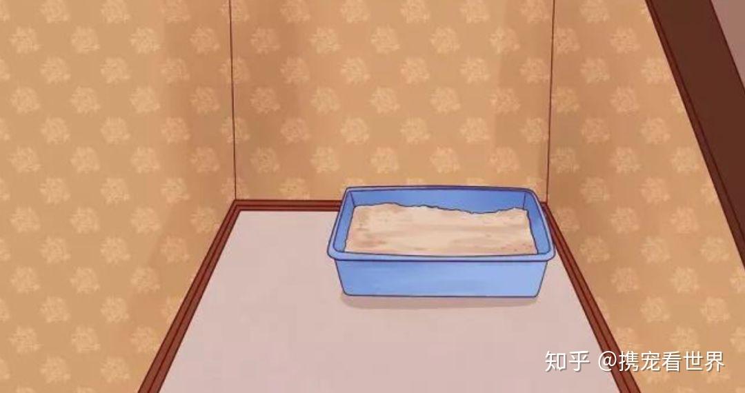 我会自己上厕所_我会自己上厕所_我会自己上厕所
