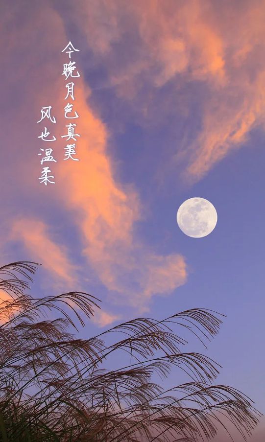 姜云升_姜云升在哪里直播_姜云凡