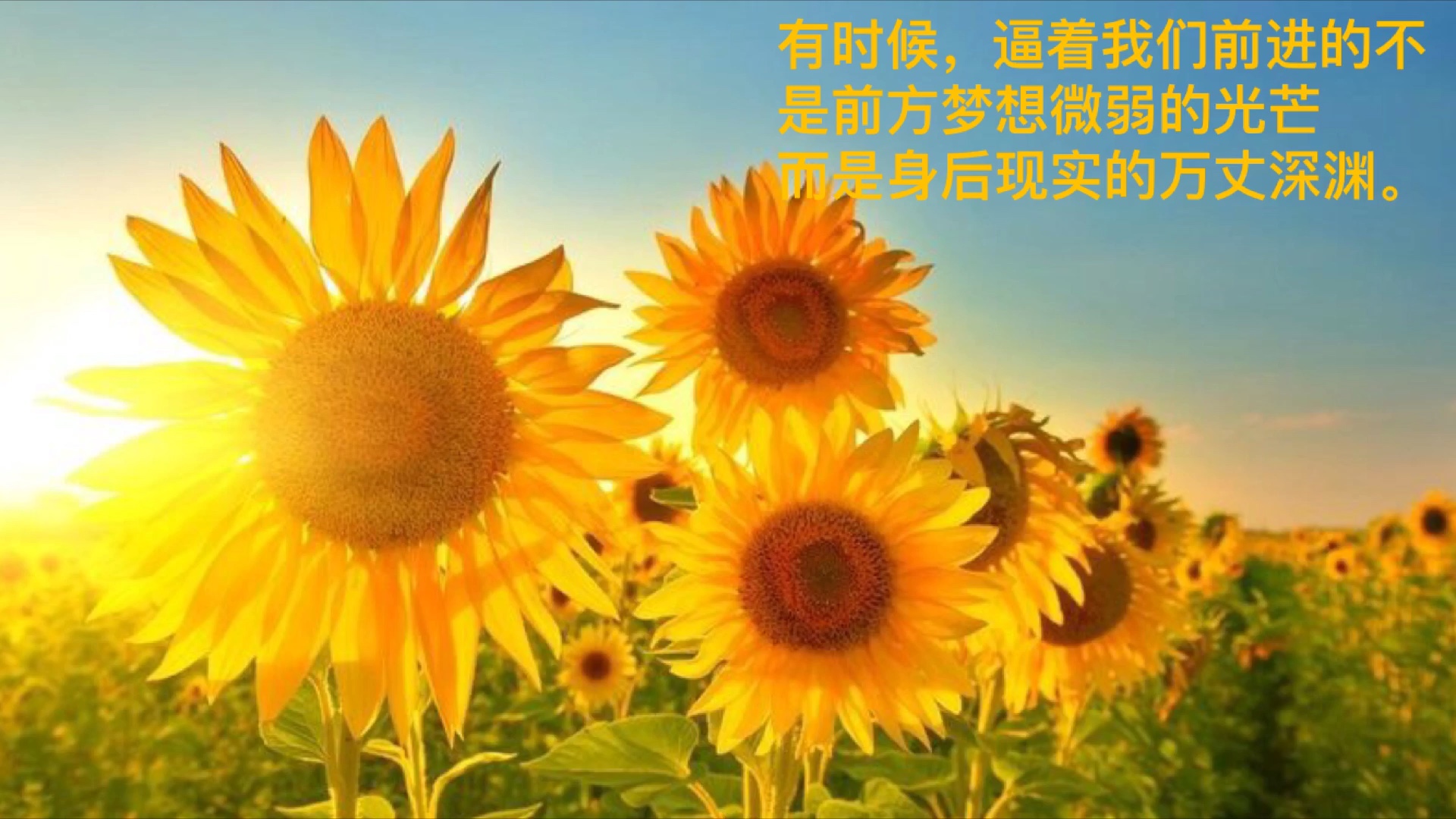 冥冥之中天注定_冥冥_冥冥之中自有注定
