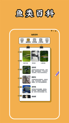 狐狸钱包如何插件安装_小狐狸钱包怎么下载不了_狐狸钱包手机版