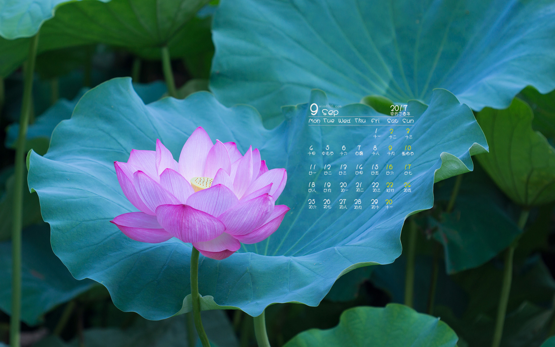 月经不来是什么原因_月字旁的字有哪些_3月22