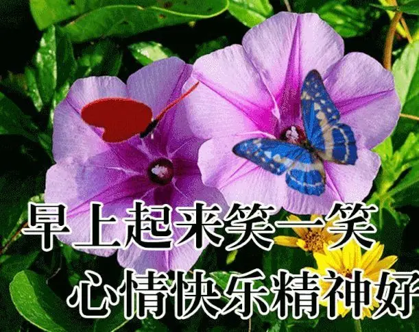 月字旁的字有哪些_3月22_月经不来是什么原因