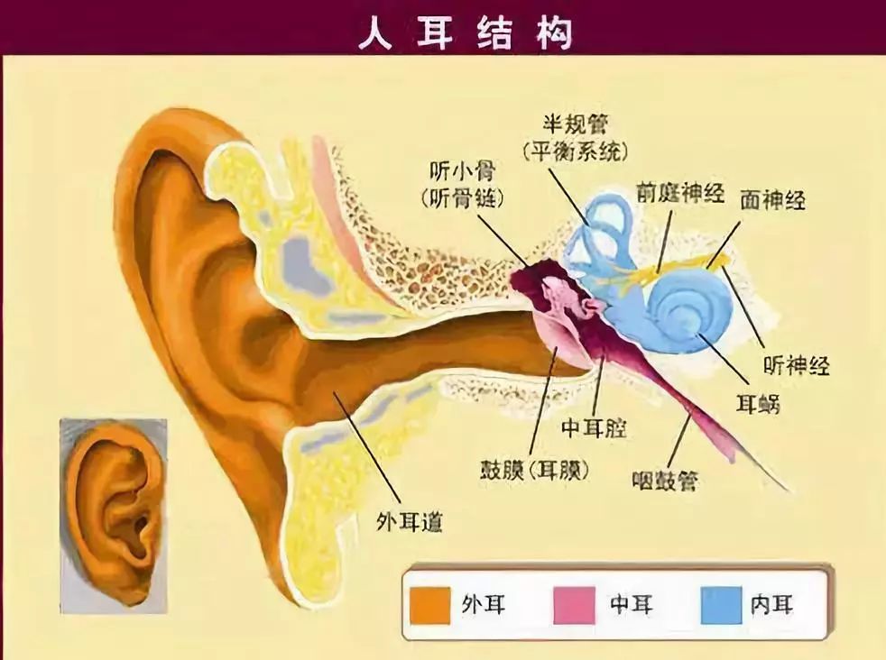 桑原由气_森原由纪bt_森原由纪吧