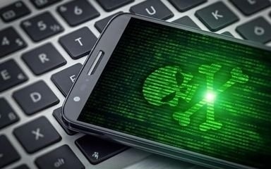 网页白屏_chia钱包白屏_tp钱包网页白屏