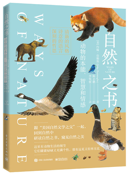三国演义严夫人_三国时期夫人指的是什么_三国杀严夫人