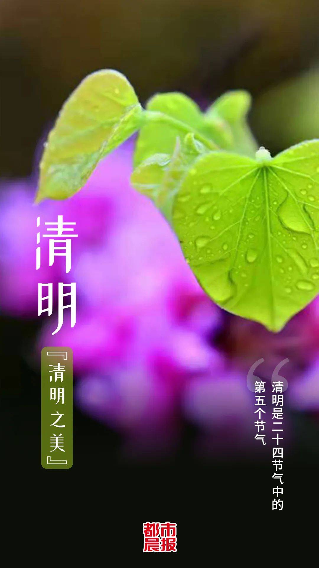 清明节什么手机游戏还能玩_清明节能玩手机游戏吗_清明节还能不能玩游戏