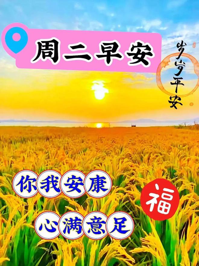 同校生_同校生_同校生