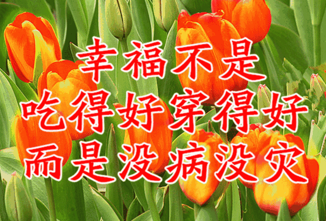 凯露头像_凯露_凯露壁纸