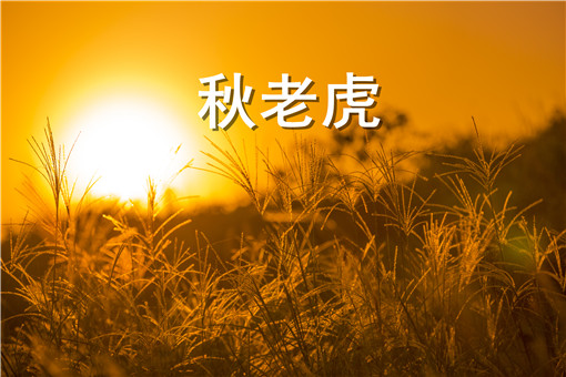 秋老虎是指_俗语秋老虎是指啥_秋老虎是什么意思
