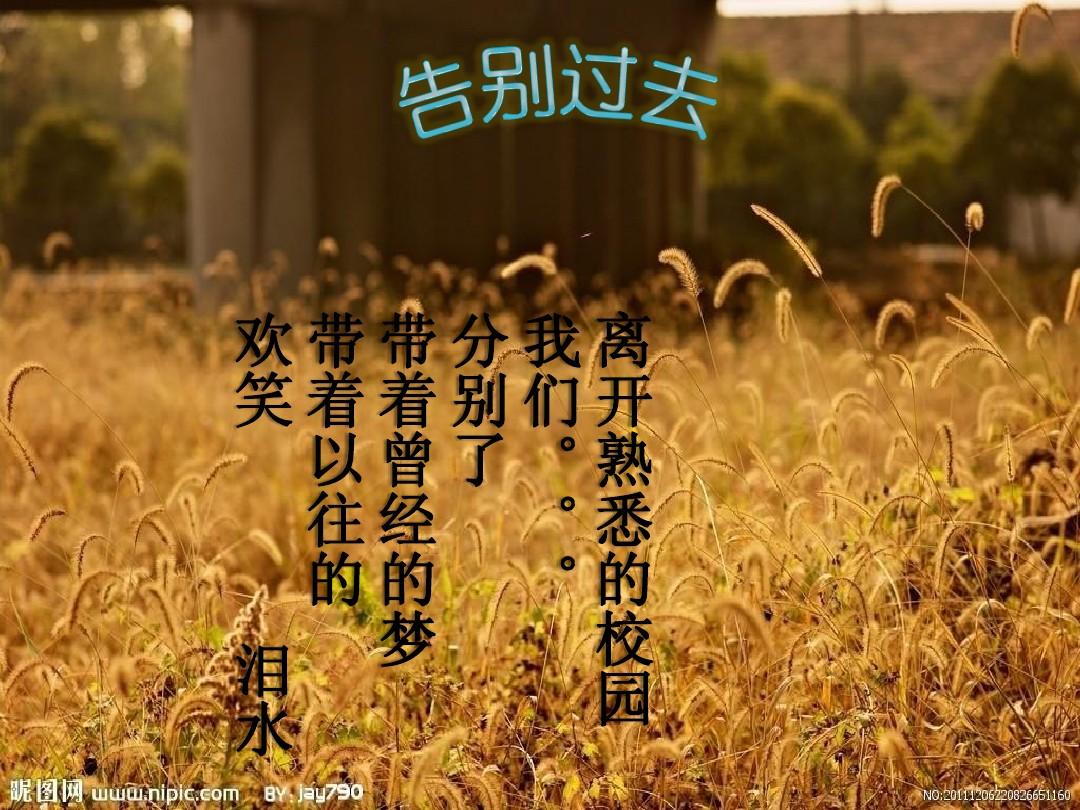 2010年2月6日_哪些年是闰月年_那年有润月年