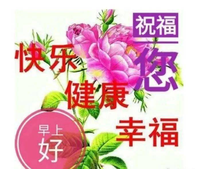 石川绫子_加藤绫子_小林绫子